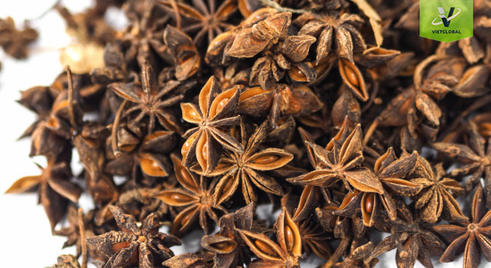 Hoa hồi mùa xuân